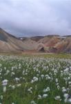 Landmannalaugar2