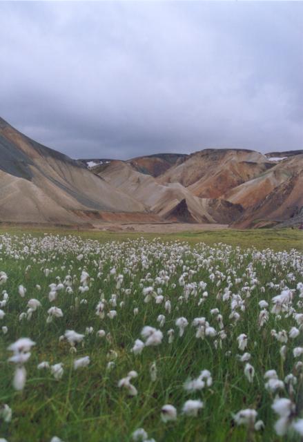 Landmannalaugar2