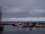 Husavik, Whale Watching, Phallus Museum