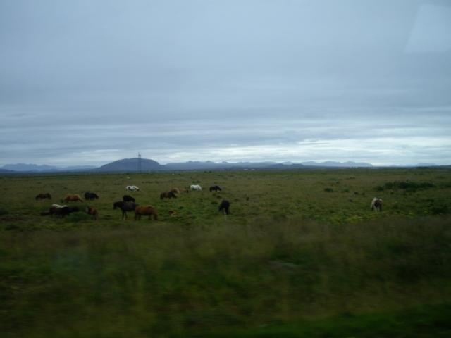 08.08.2007 Fahrt Hveragerdi - Seljalandsfoss 007