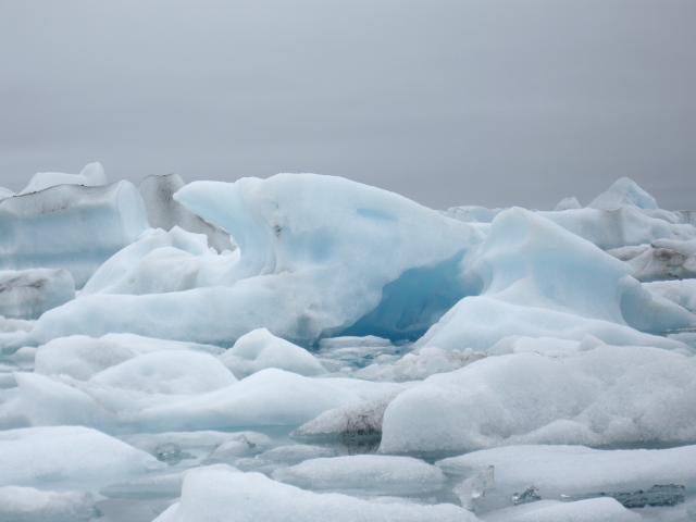 11.08.2007 Jökulsárlon 041