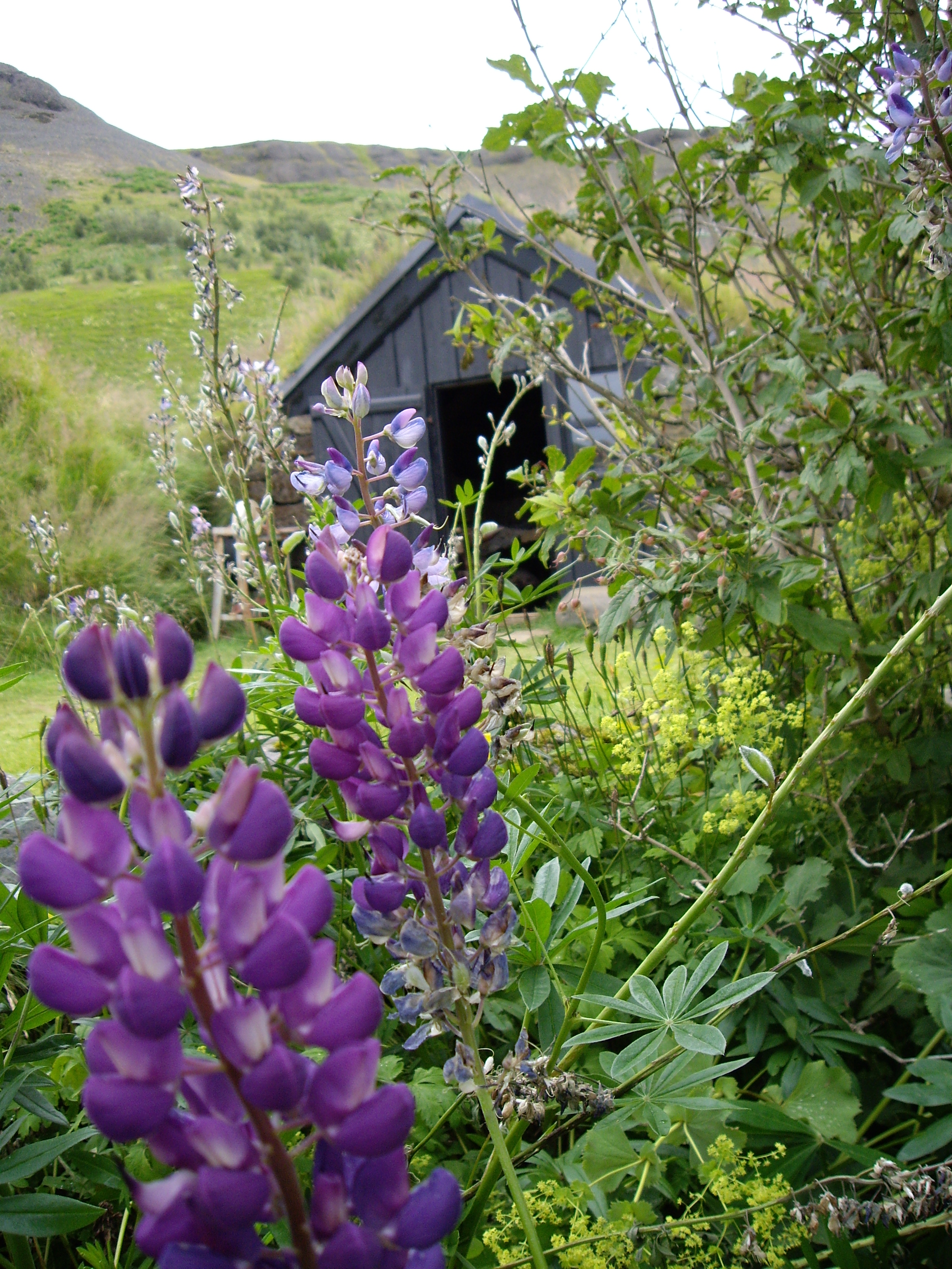 Heimatmuseum Skogar VI